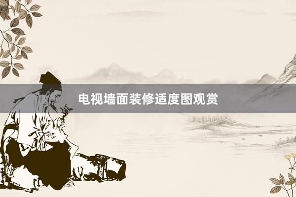 电视墙面装修适度图观赏