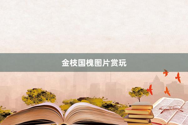 金枝国槐图片赏玩